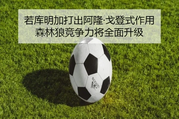 若库明加打出阿隆·戈登式作用 森林狼竞争力将全面升级